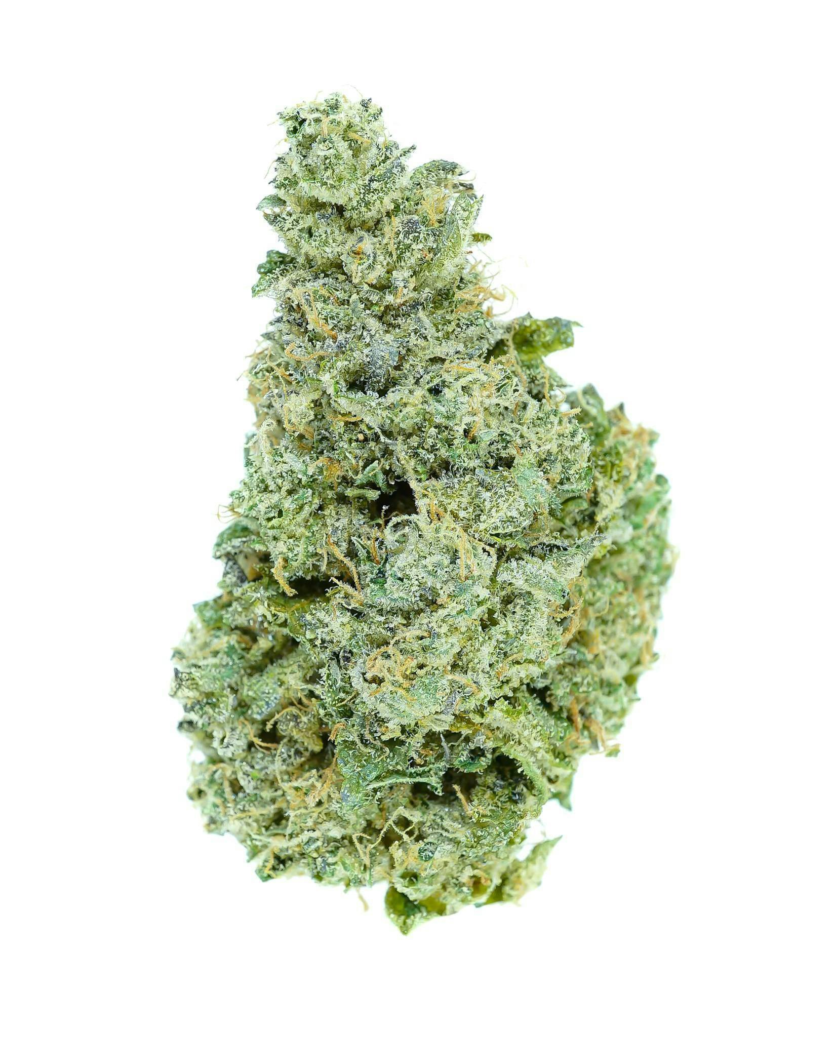 Prūf Cultivar - Prūf Cultivar | Sherb N R*ntz | Flower | 14G - 1
