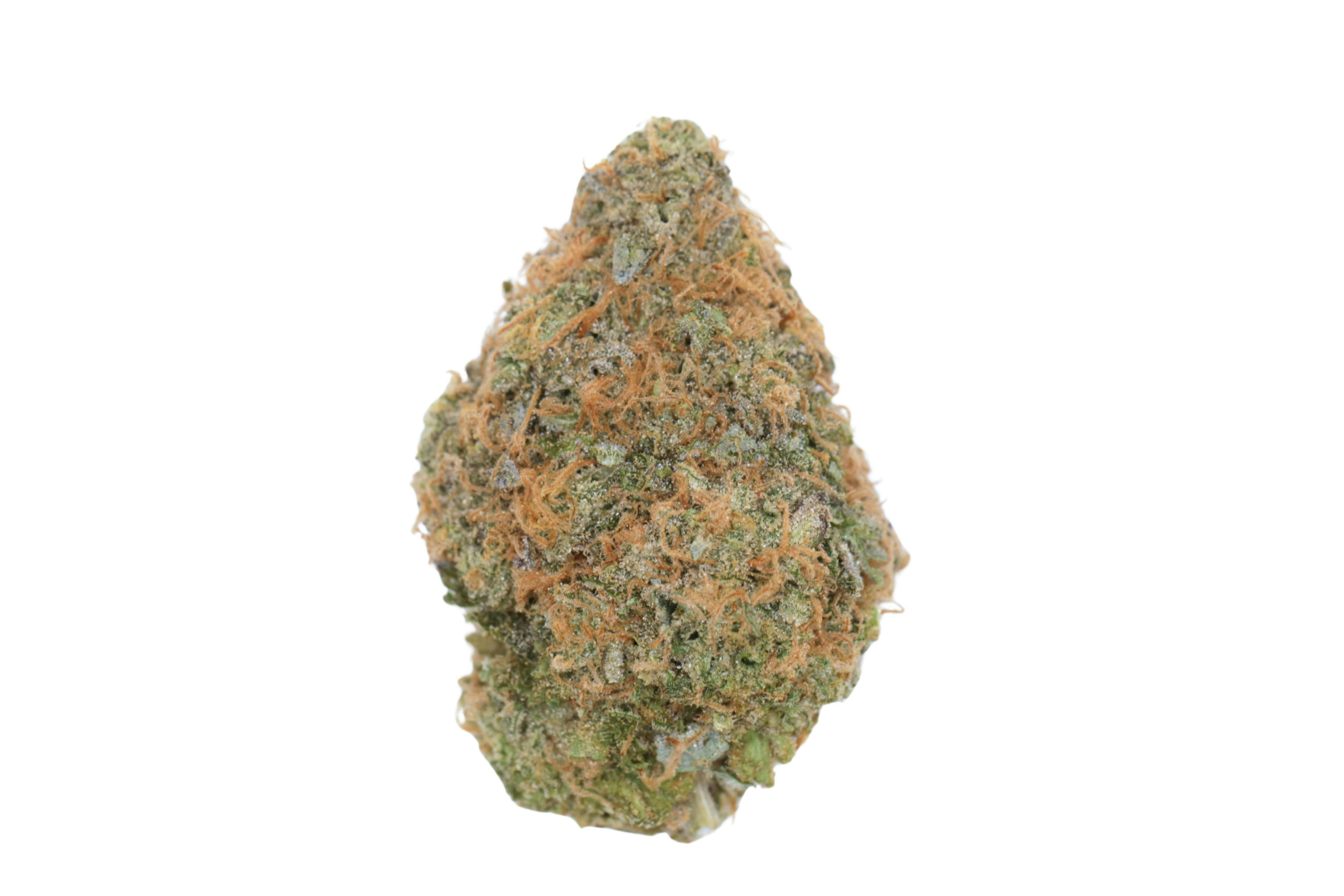 Prūf Cultivar - Prūf Cultivar | Too Much Maple #2 | Flower | 14G - 1