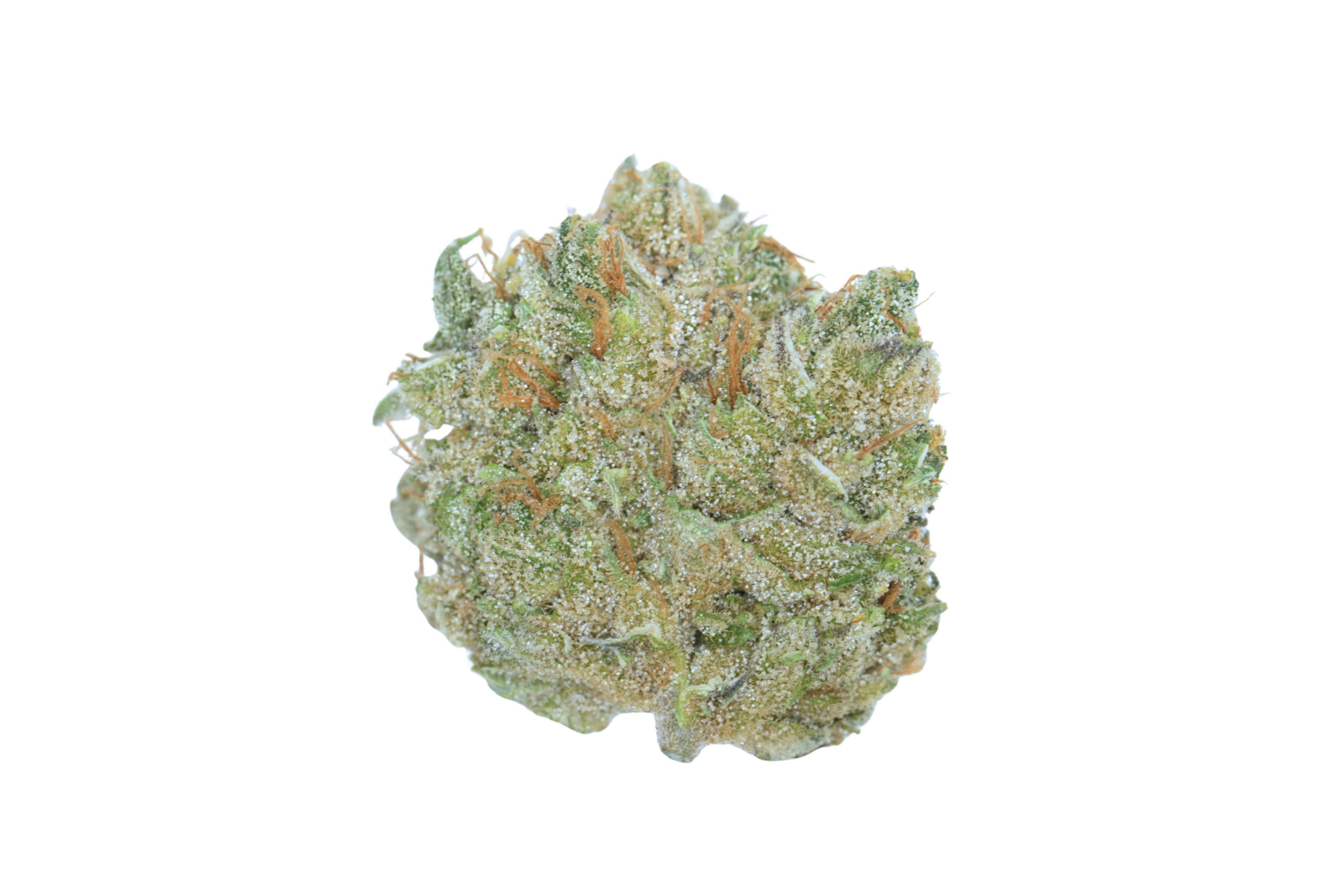 Prūf Cultivar - Prūf Cultivar | Crater Lake V7 | Flower | 1G - 1