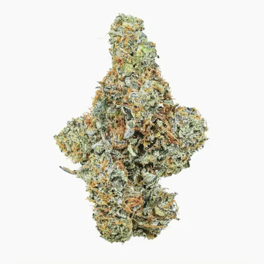 Prūf Cultivar - Prūf Cultivar | Sunshine Lime | Flower | 7G - 1