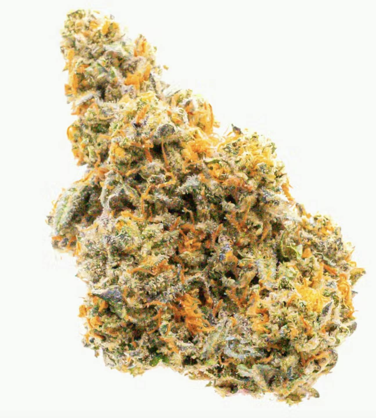 Prūf Cultivar - Prūf Cultivar | GrapeAde | Flower | 7G - 1