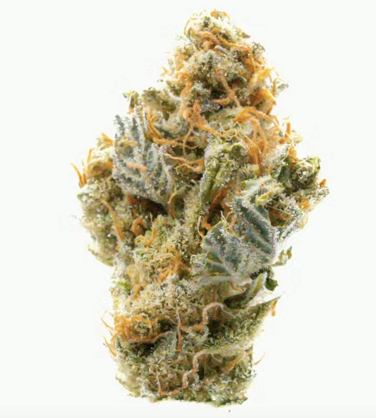 Prūf Cultivar - Prūf Cultivar | Cadillac Rainbows | Flower | 3.5G - 1