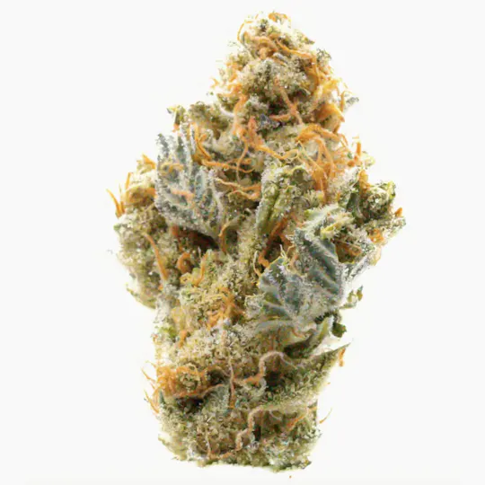 Prūf Cultivar - Prūf Cultivar | Cadillac Rainbows | Flower | 3.5G - 1