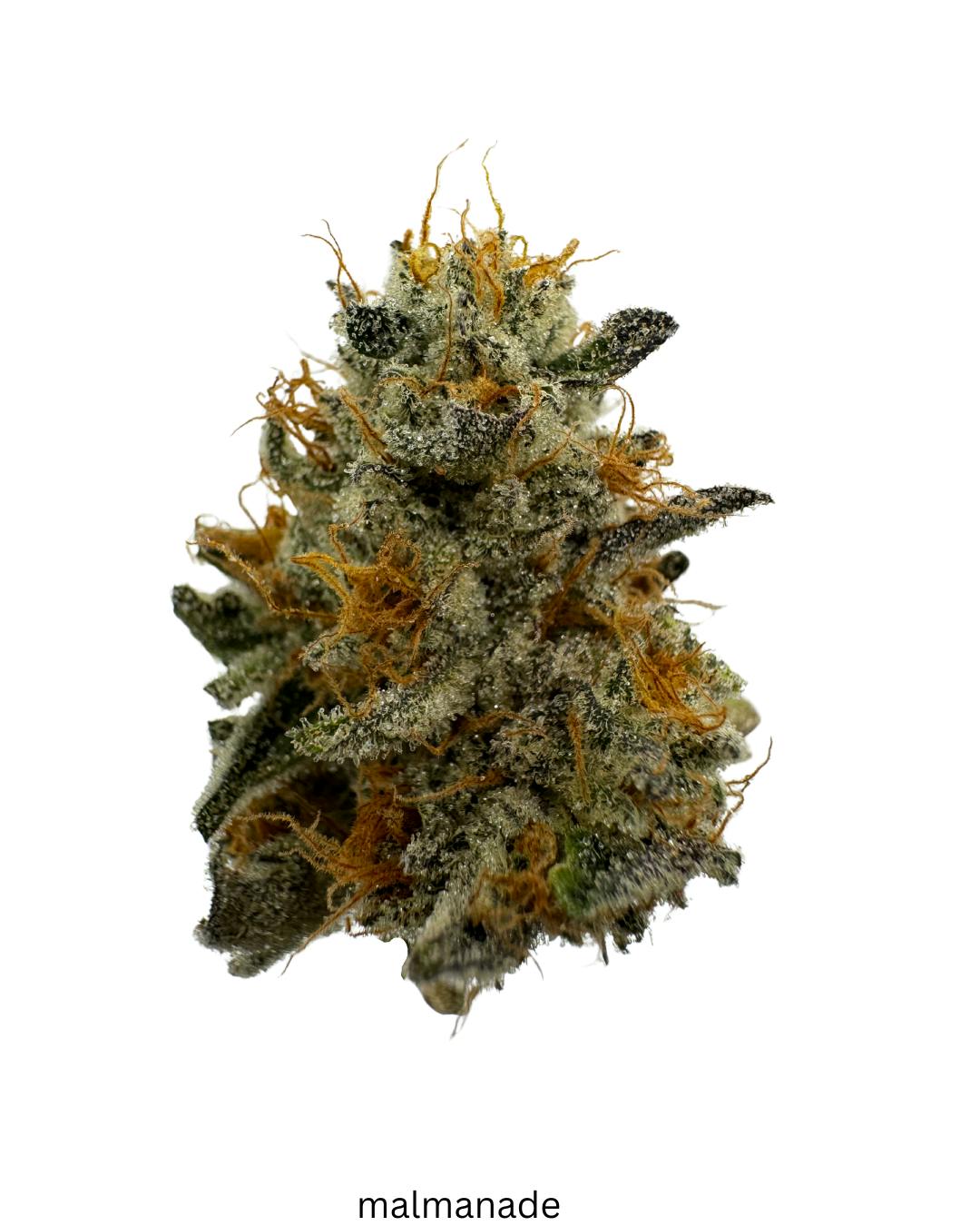 SATTVA Cannabis - S A T T V A | Marmalade | Premium Indoor | 14g - 1