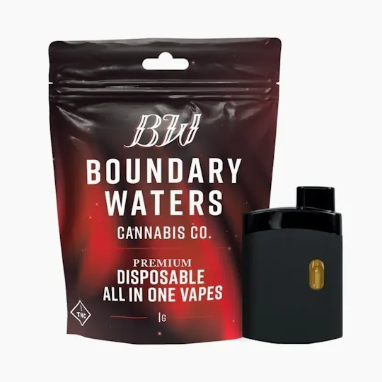 Boundary Waters - Juicy Red Apple | Disposable | 1g - 1
