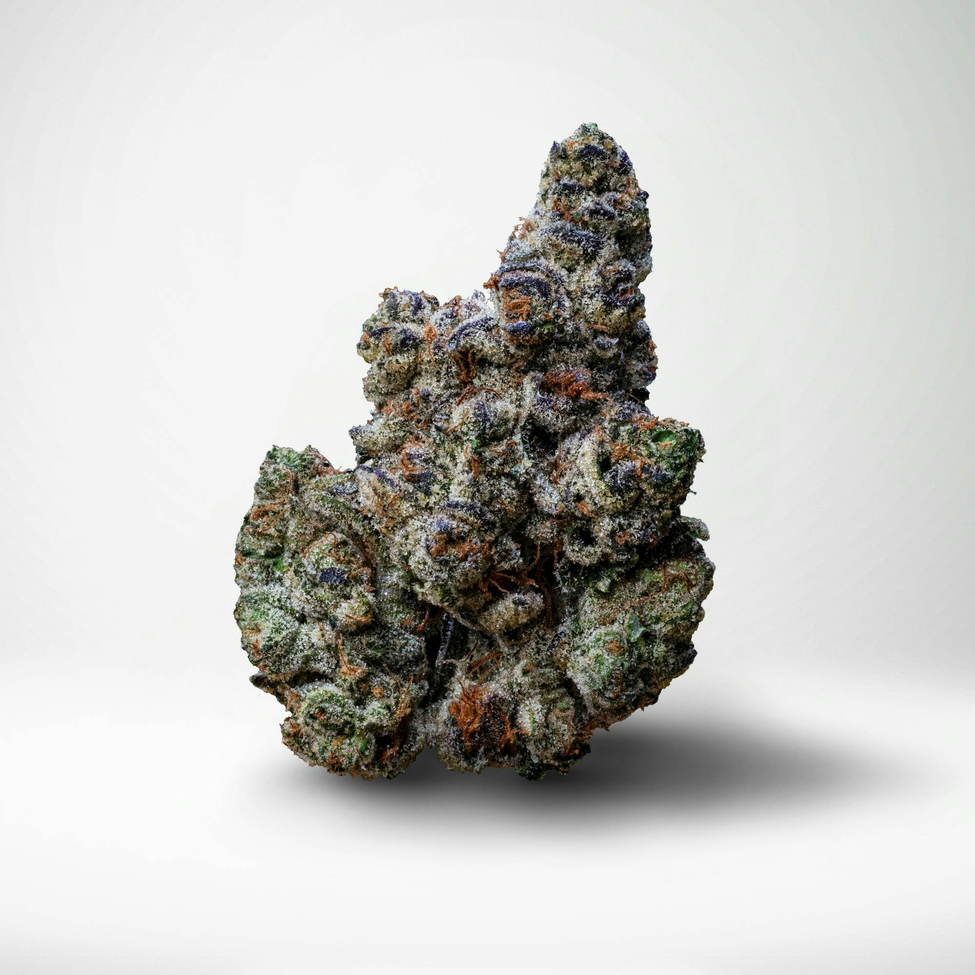 Wood Wide - Wood Wide | PieScream | Big Buds | 3.5g - 1
