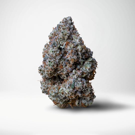 Wood Wide - Baby Rattler 14G - 1