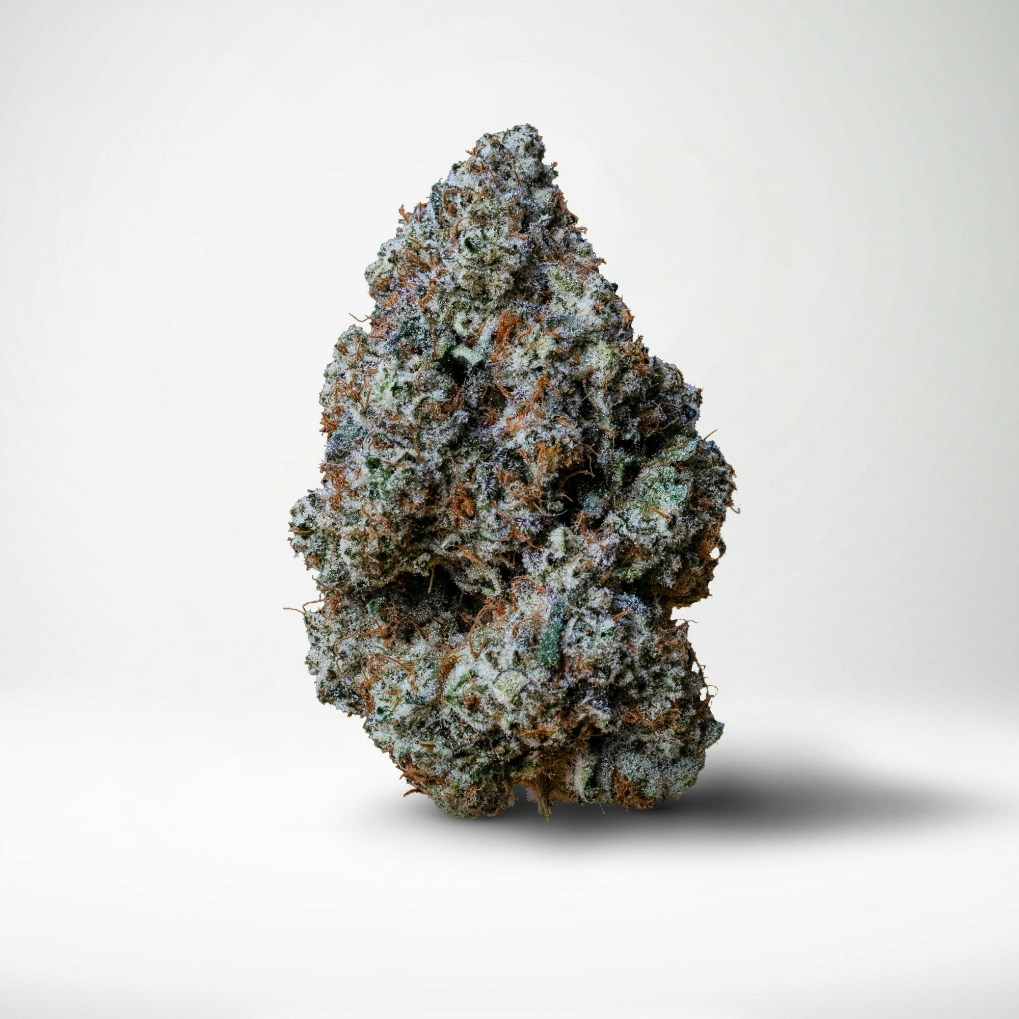 Wood Wide - Wood Wide | Baby Rattler | Big Buds | 14g - 1