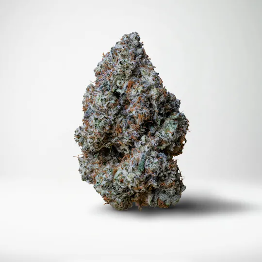 Wood Wide - Wood Wide | Baby Rattler | Big Buds | 14g - 1