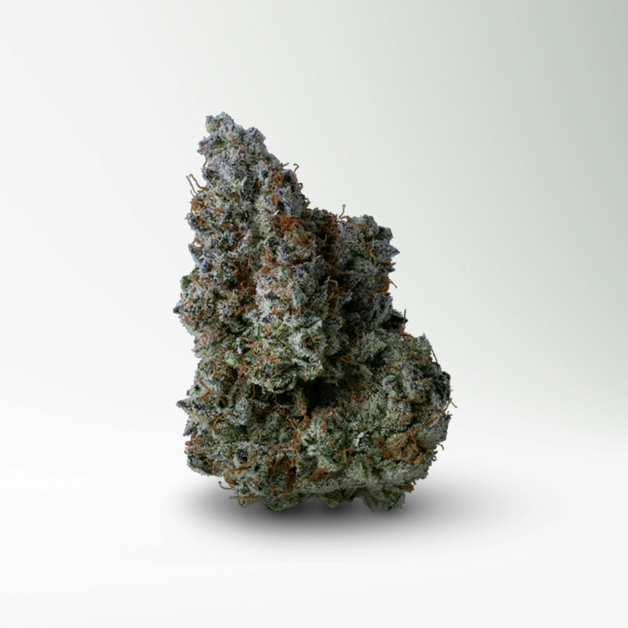 Wood Wide - Wood Wide | Grumpy Tiger | Big Buds | 14g - 1