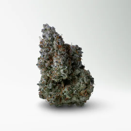 Wood Wide - Wood Wide | Grumpy Tiger | Big Buds | 14g - 1