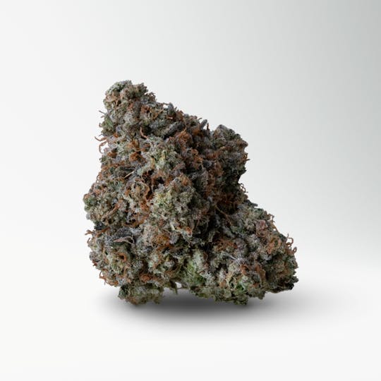 Wood Wide - Headbanger 14G - 1