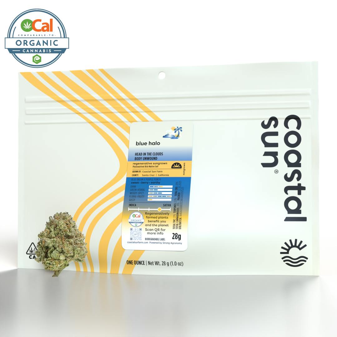 Coastal Sun - Blue Halo Sungrown Flower 28g - 1