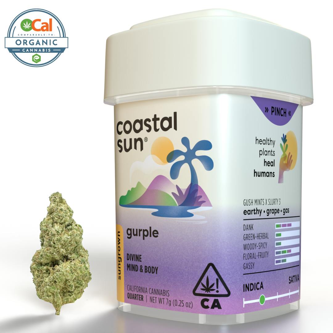Coastal Sun - Gurple Sungrown Flower 7g - 1