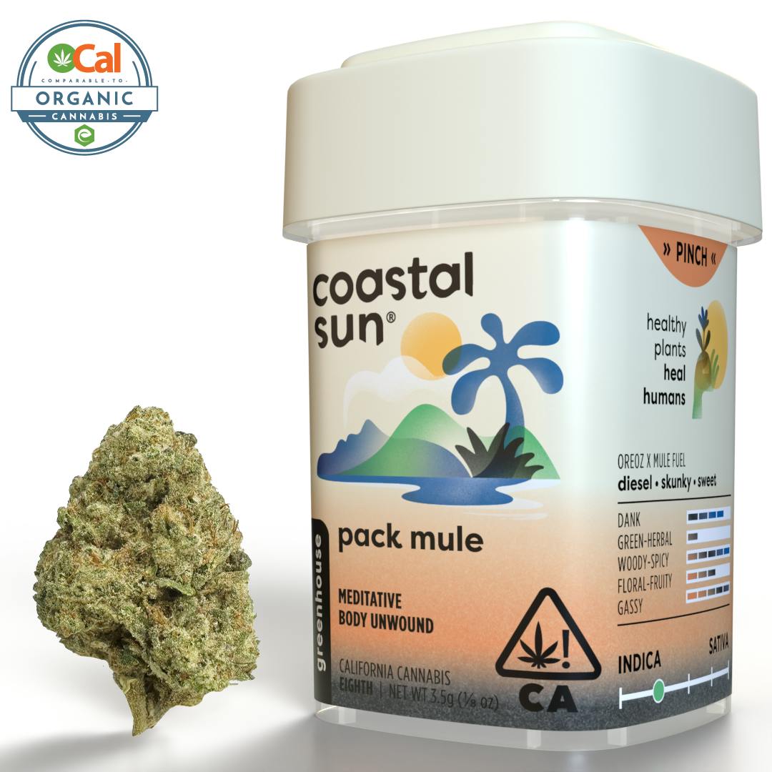 Coastal Sun - Pack Mule Greenhouse Flower 3.5g - 1