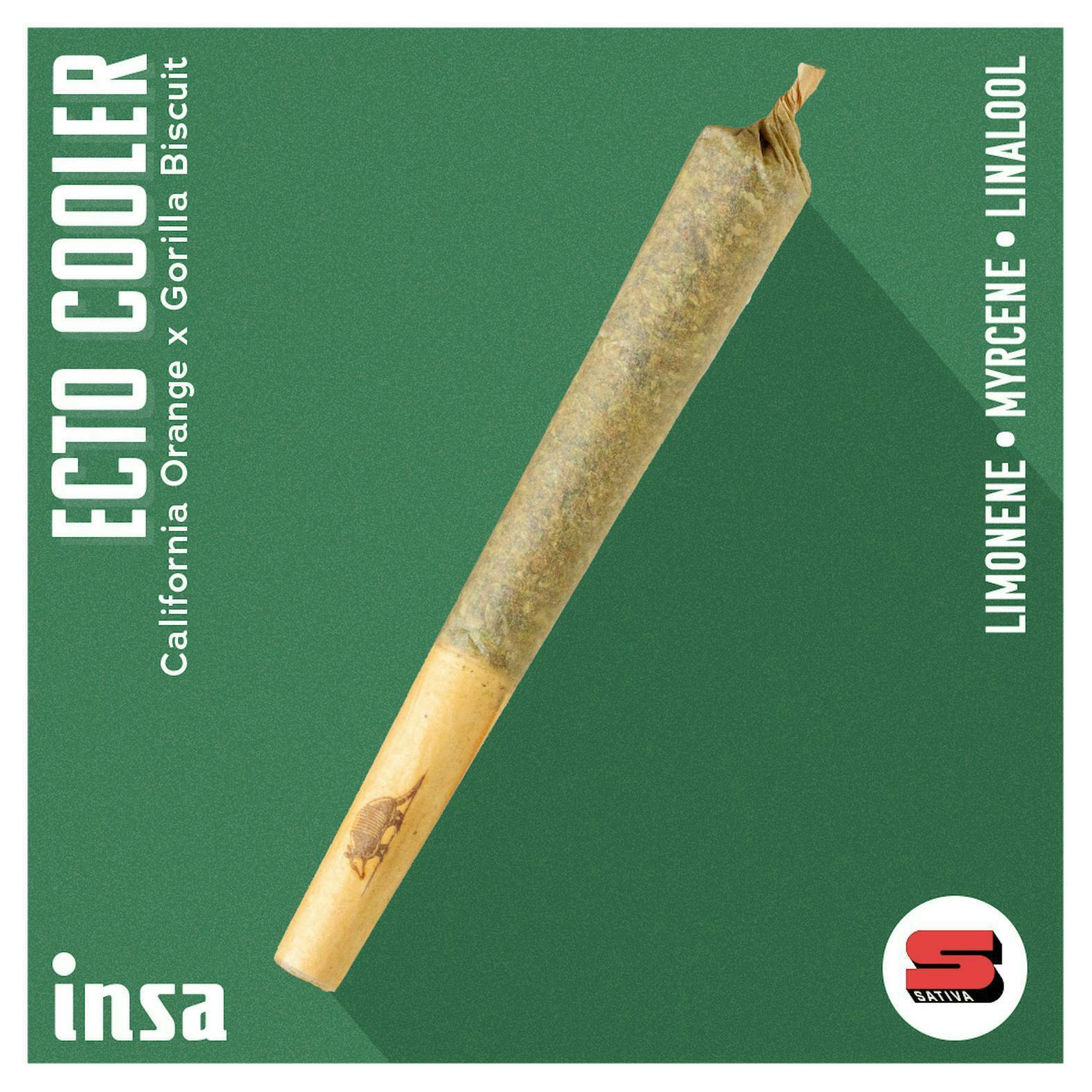 INSA - INSA - Ecto Cooler - 1g Pre-roll - 1