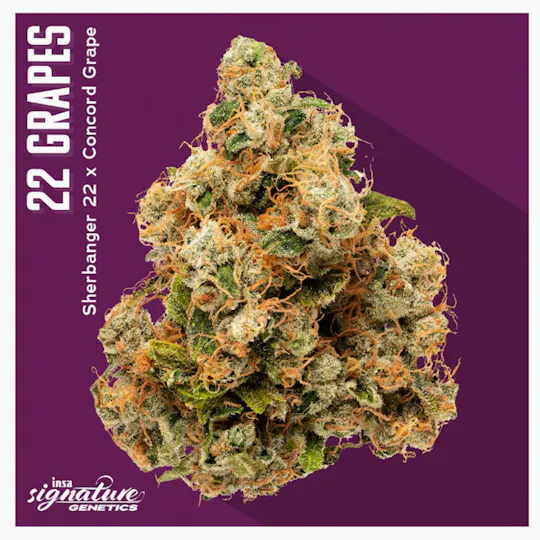 INSA - INSA - 22 Grapes - 3.5g Flower - 1