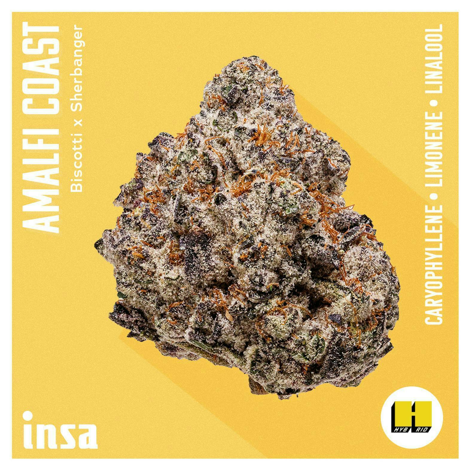 INSA - INSA - Amalfi Coast - 3.5g Flower - 1