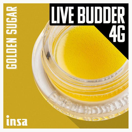 INSA - INSA - Golden Sugar - 4g Live Budder Baller Jar - 1