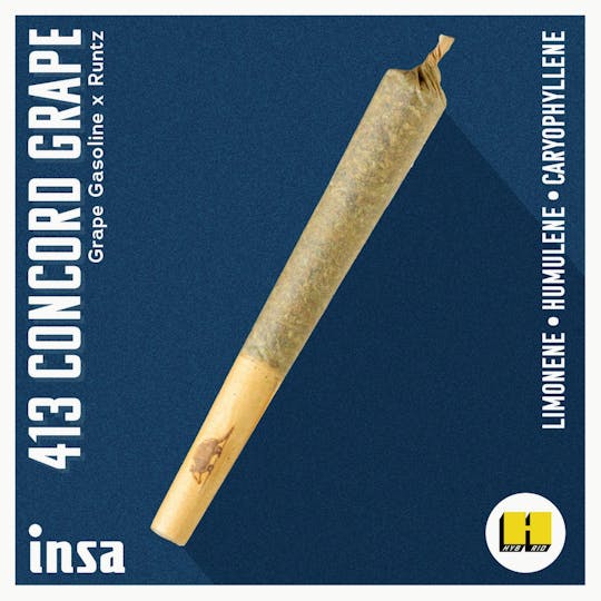 INSA - INSA - 413 Concord Grape - 1g Pre-roll - 1