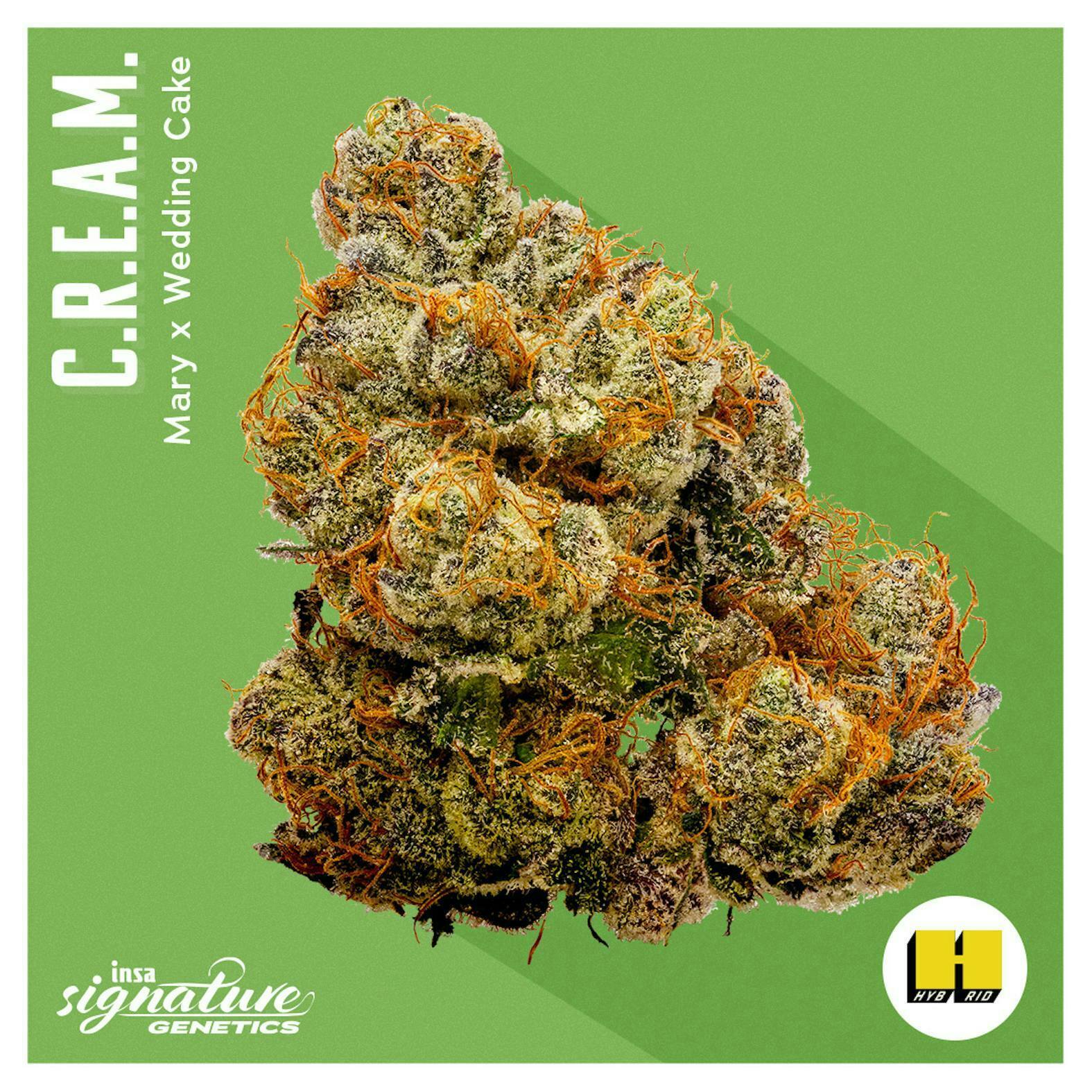 INSA - INSA - C.R.E.A.M. - 14g Large Pack Flower - 1