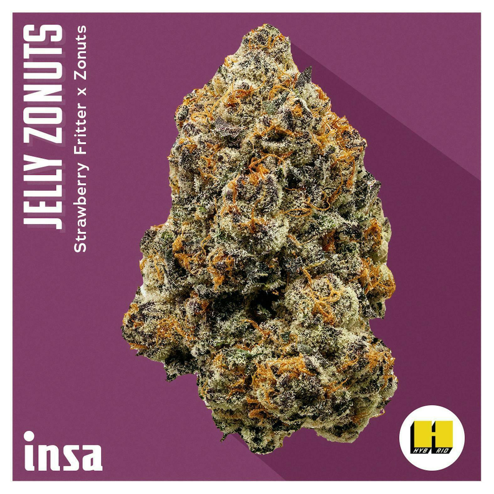 INSA - INSA - Jelly Zonuts - 3.5g Flower - 1