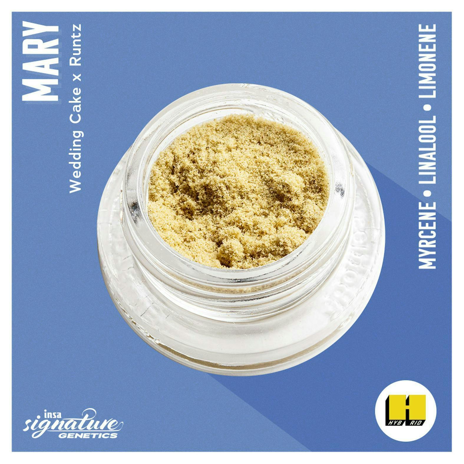 INSA - INSA - Mary - 1g Kief - 1