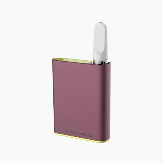 INSA - INSA - Plum Palm Battery - INSA Logo - 1
