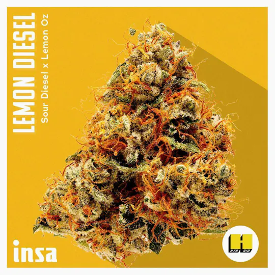 INSA - INSA - Lemon Diesel - 14g Large Pack Flower - 1