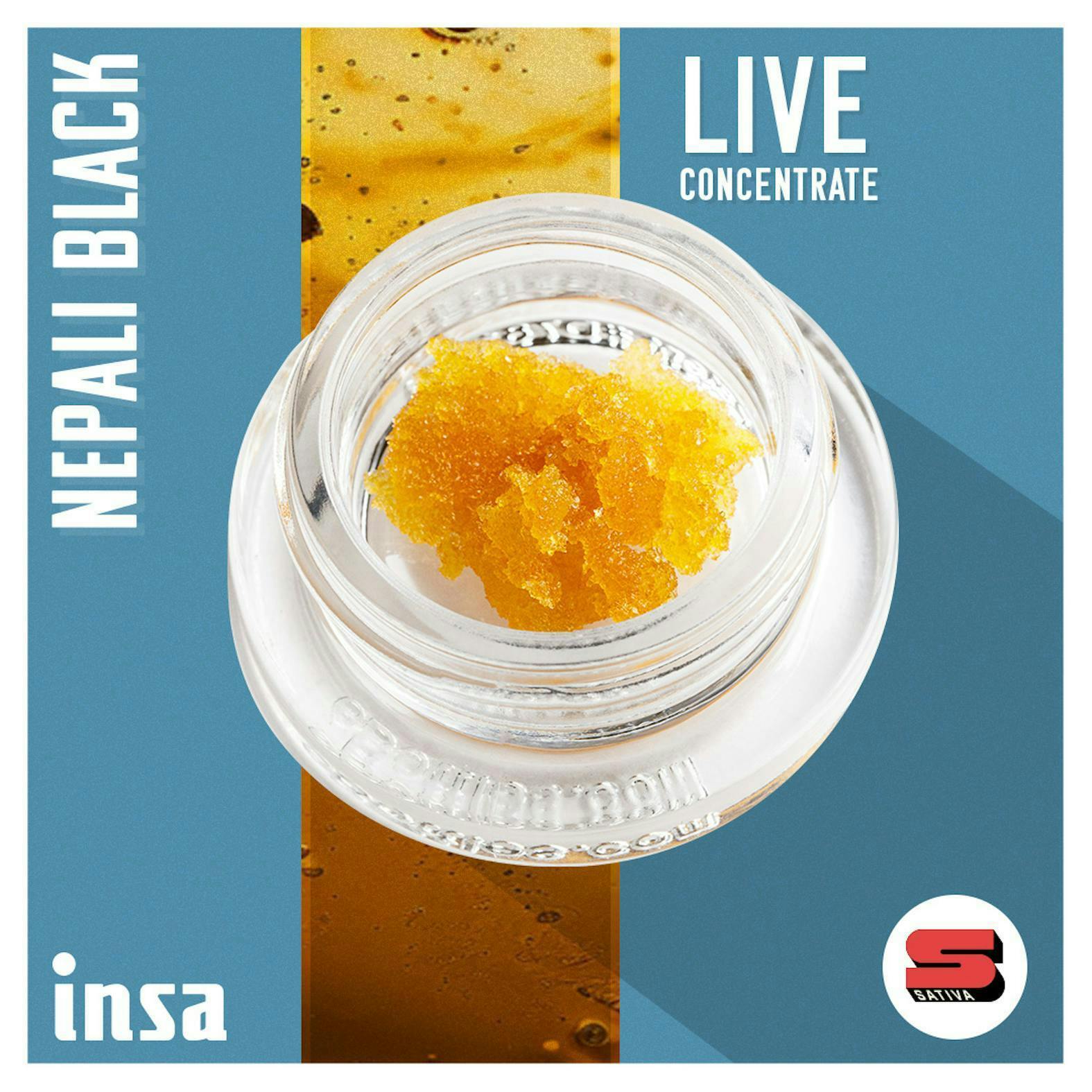 INSA - INSA - Nepali Black - 1g Live Sugar - 1