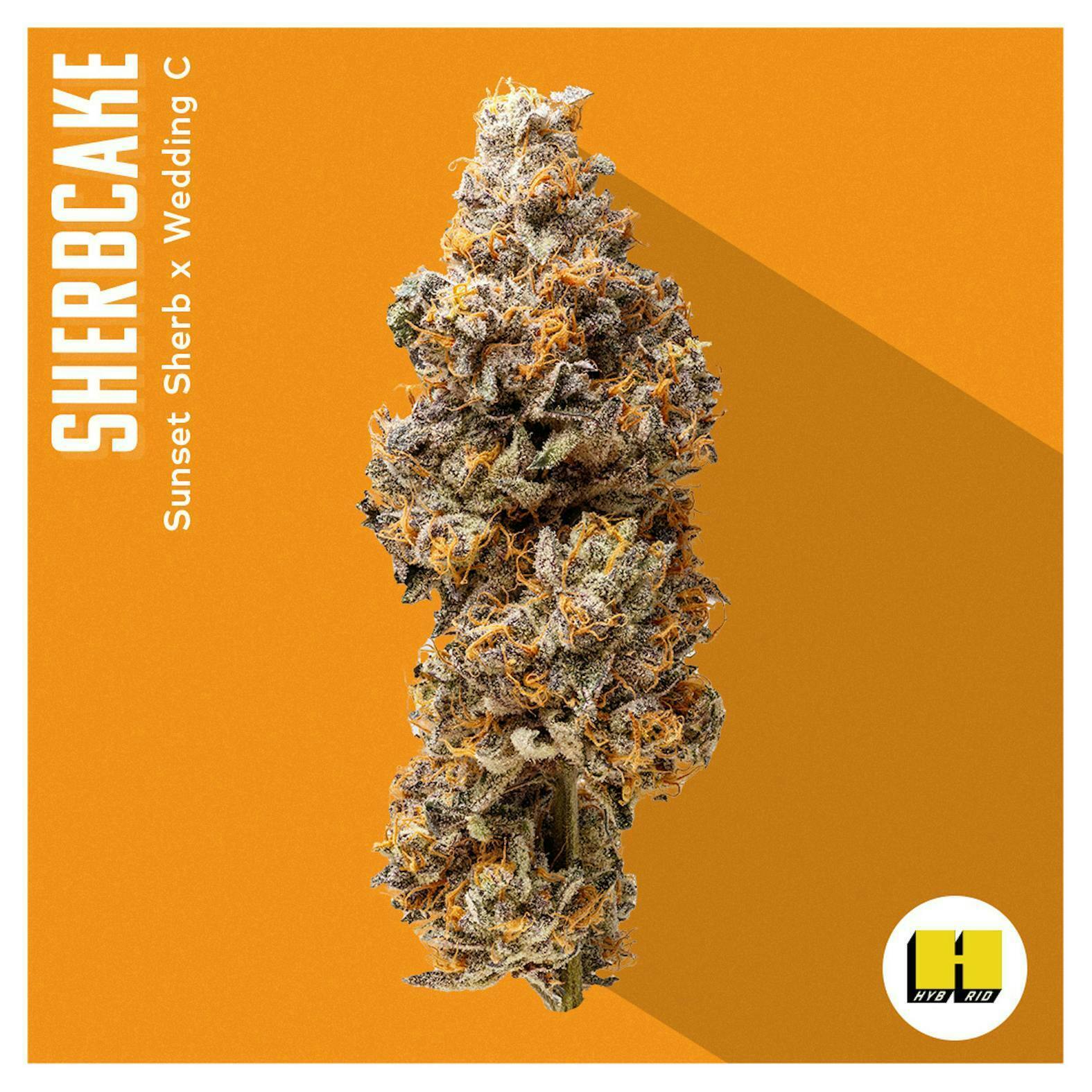 INSA - INSA - Sherb Cake - 3.5g Flower - 1