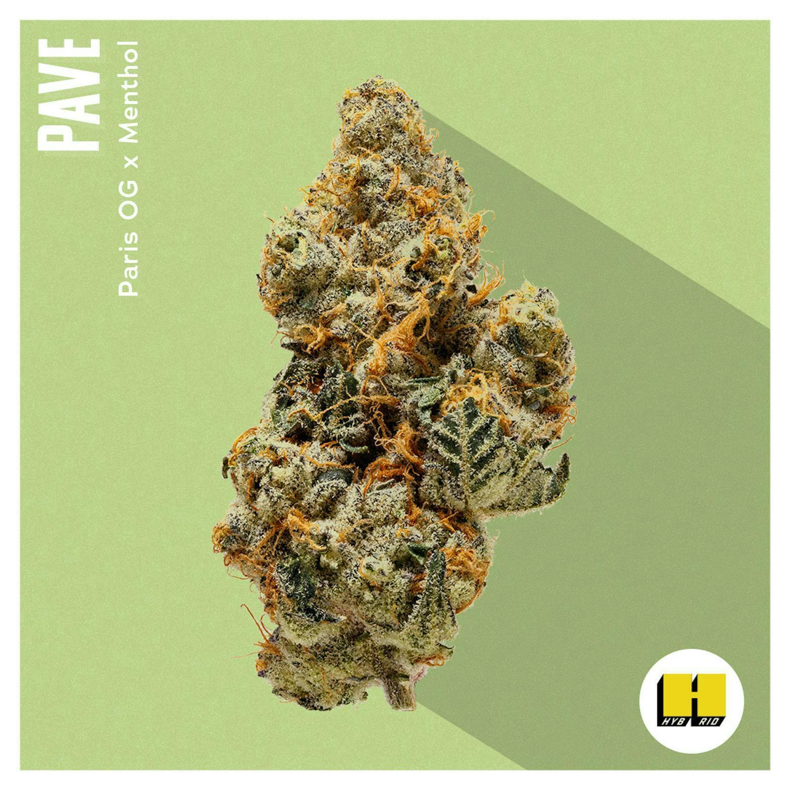 INSA - INSA - Pave - 3.5g Flower - 1