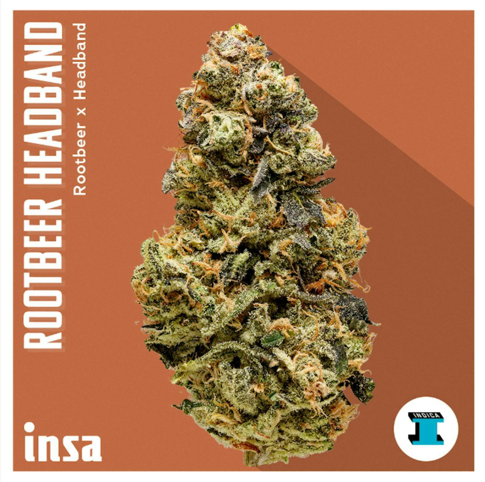 INSA - INSA - Rootbeer Headband - 3.5g Flower - 1