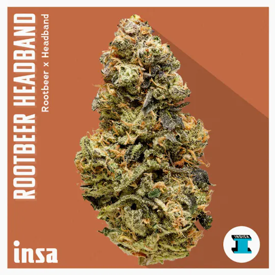 INSA - INSA - Rootbeer Headband - 3.5g Flower - 1