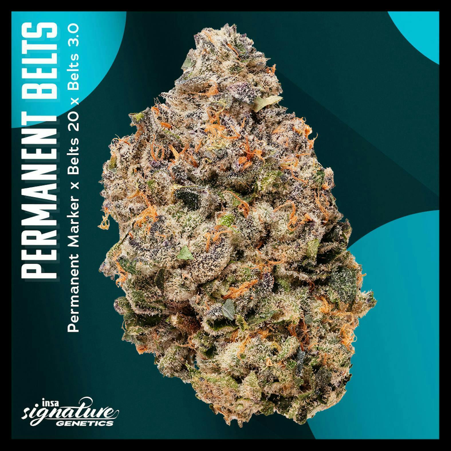 INSA - INSA - Permanent Belts - 28g Large Pack Flower - 1