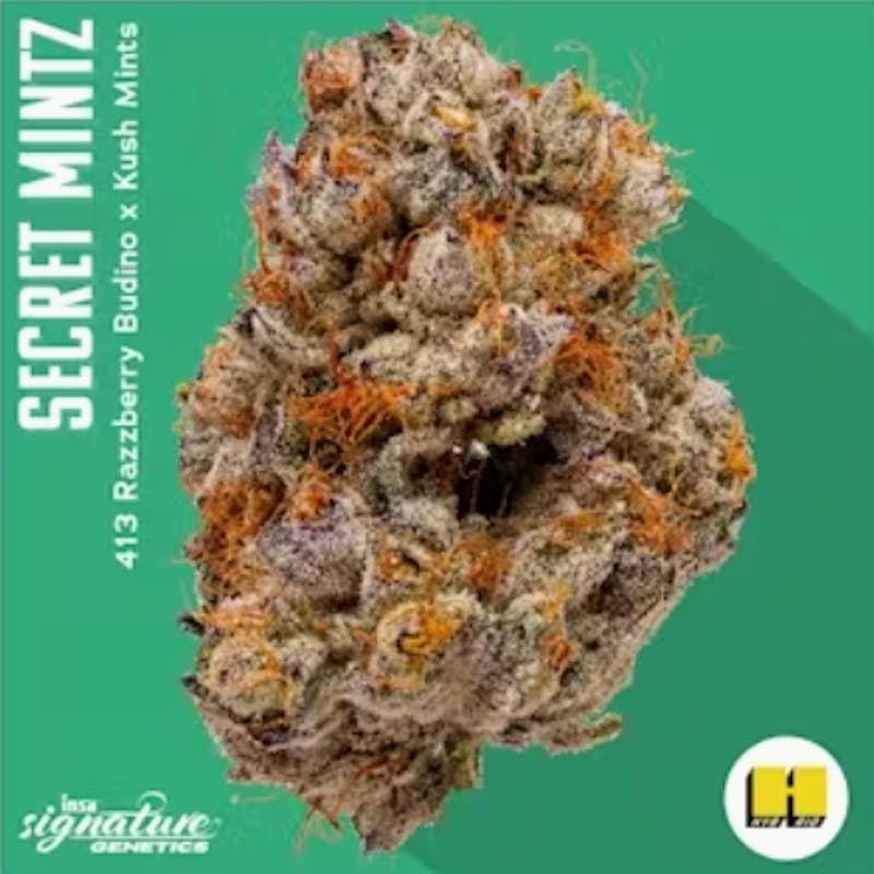 INSA - INSA - Secret Mintz - 3.5g Flower - 1