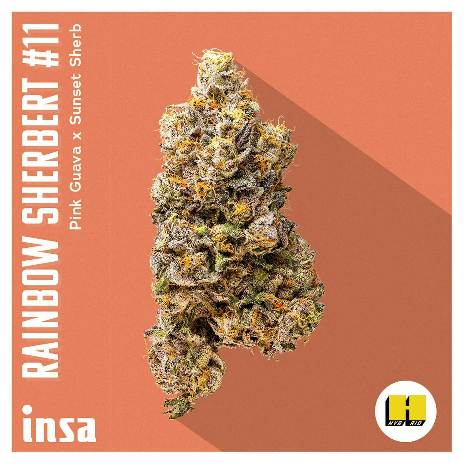 INSA - INSA - Rainbow Sherbert 11 - 3.5g Flower - 1