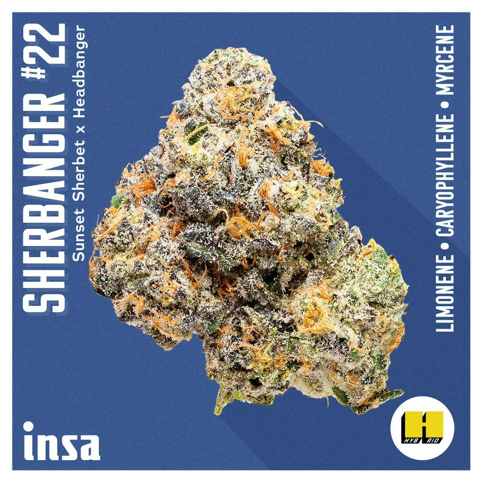 INSA - INSA - Sherbanger 22 - 28g Large Pack Flower - 1
