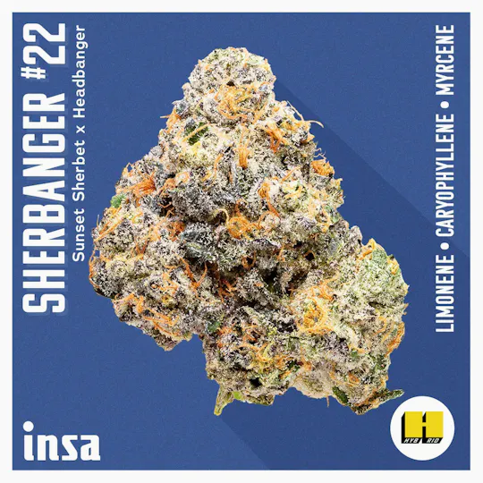 INSA - INSA - Sherbanger 22 - 28g Large Pack Flower - 1
