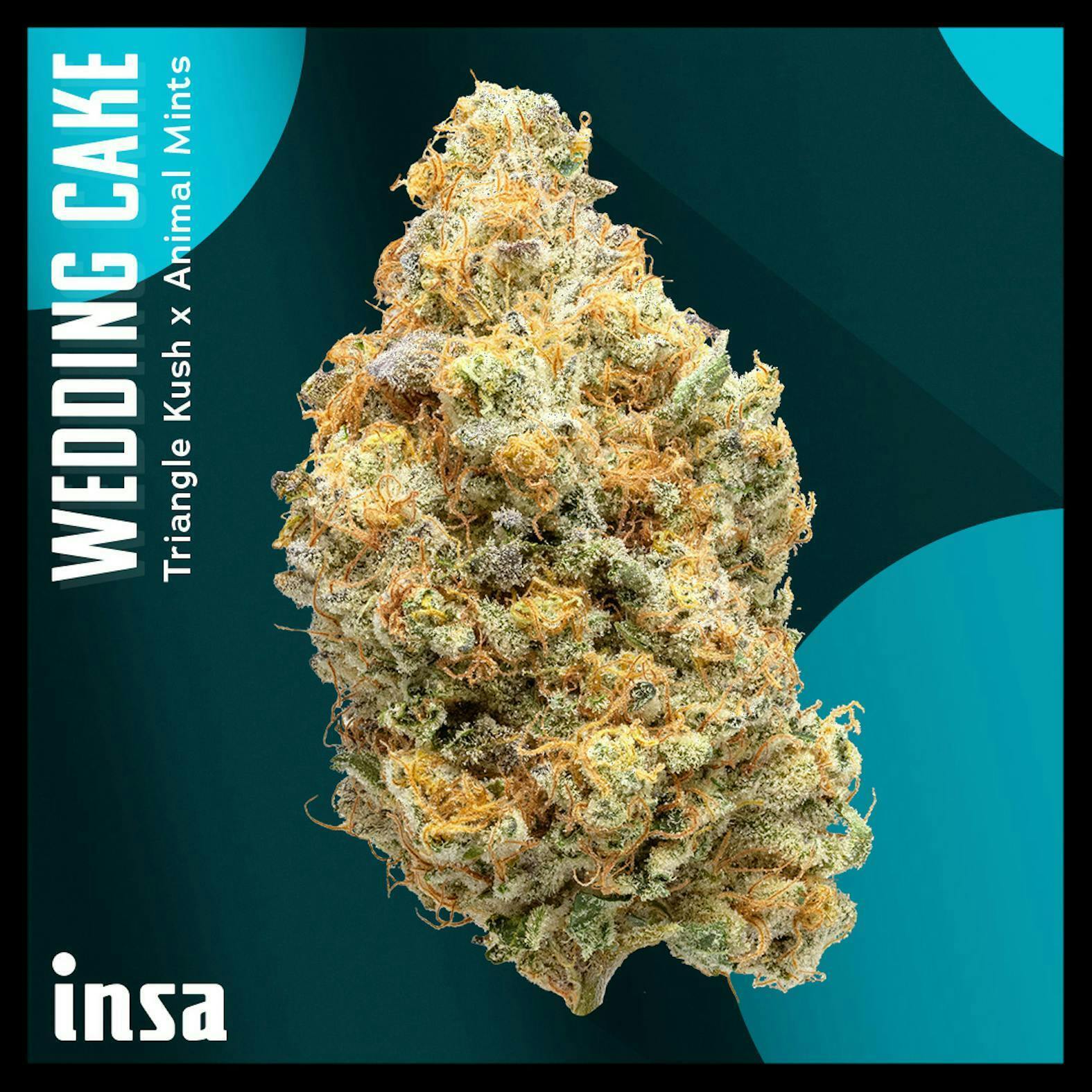 INSA - INSA - Wedding Cake - 3.5g Flower - 1