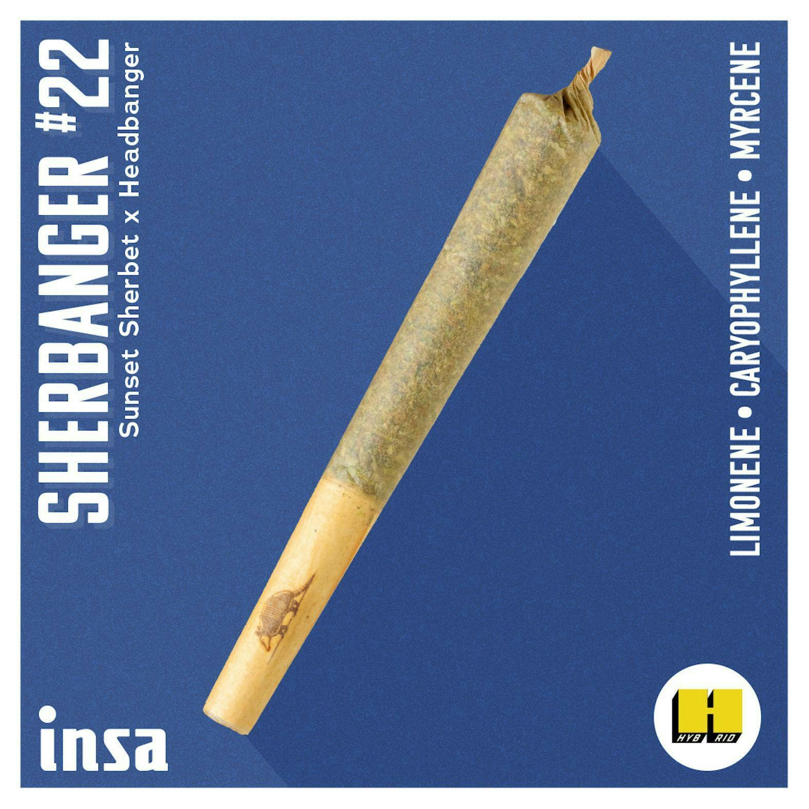 INSA - INSA - Sherbanger 22 - 0.5g Pre-roll - 1