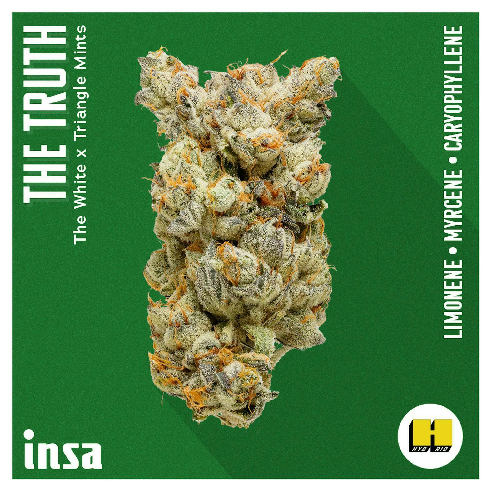 INSA - INSA - The Truth - 3.5g Flower - 1