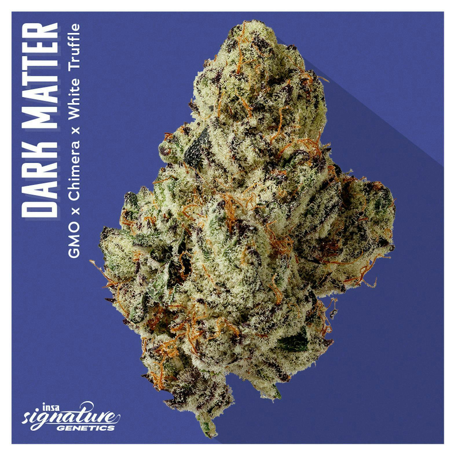 INSA - INSA - Dark Matter - 3.5g Flower - 1
