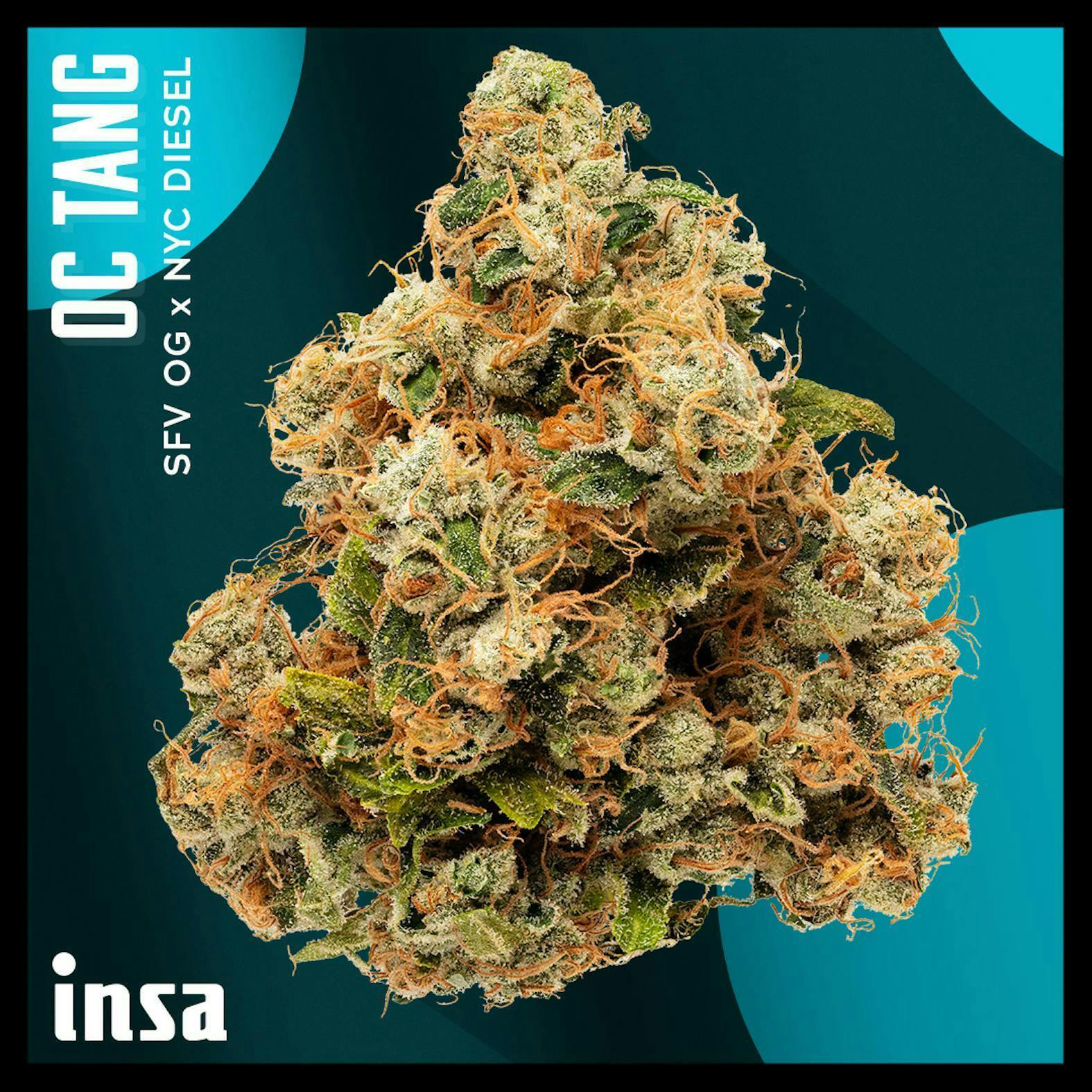 INSA - INSA - Oc Tang - 28g Large Pack Flower - 1