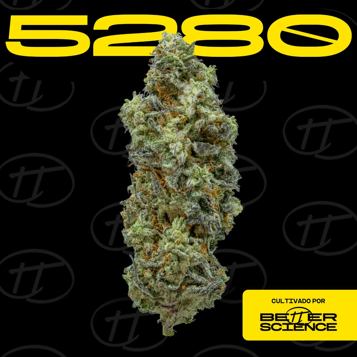 Better Science - BSC - 5280 - Smalls - 1