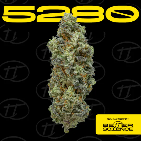 Better Science - BSC - 5280 - Smalls - 1