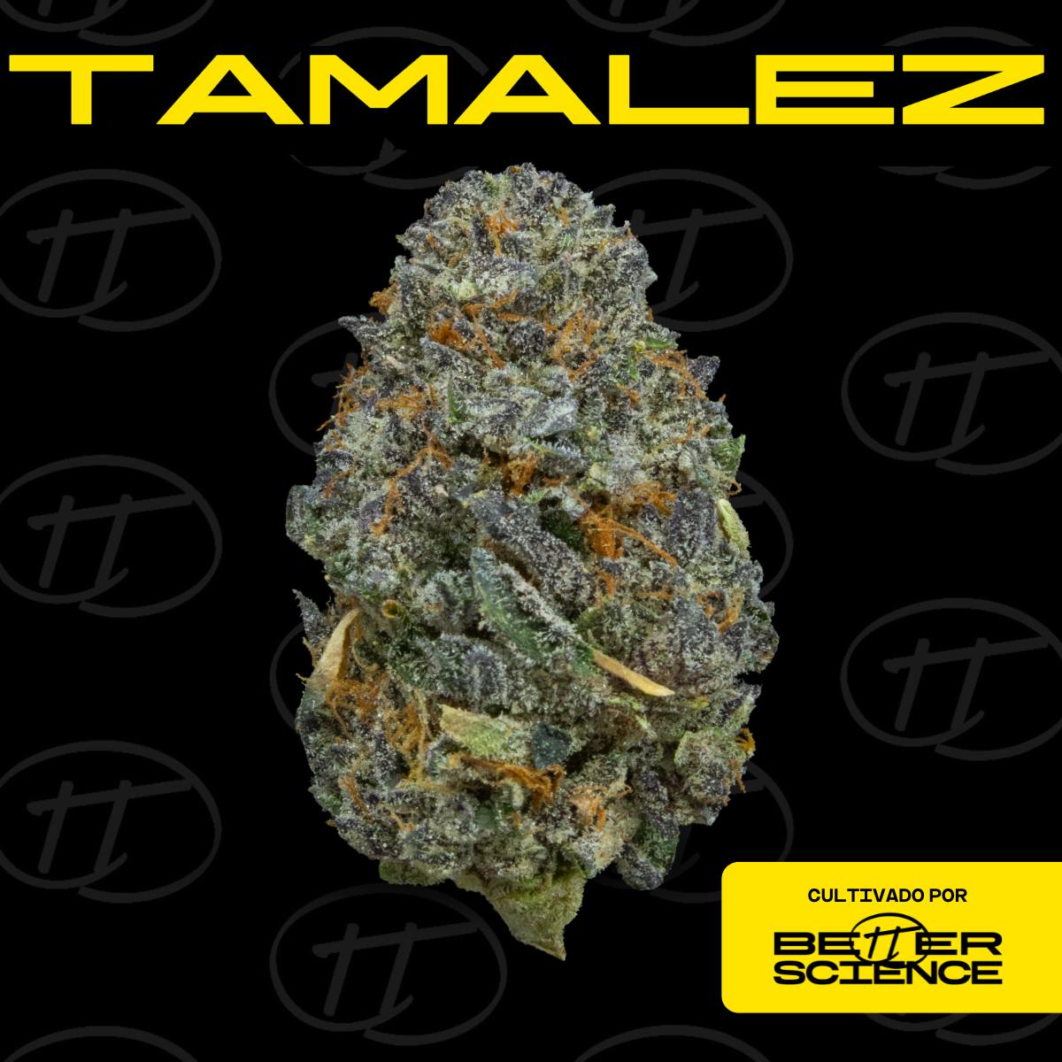 Better Science - BSC - Tamalez - Flor - 1