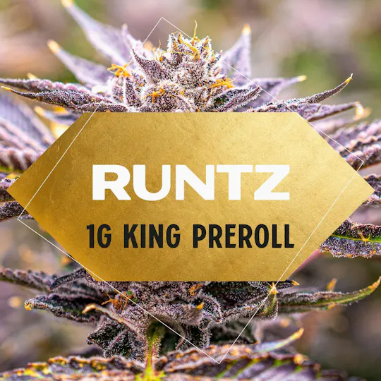 Yani - Original Runtz Pre Roll 1g - 1
