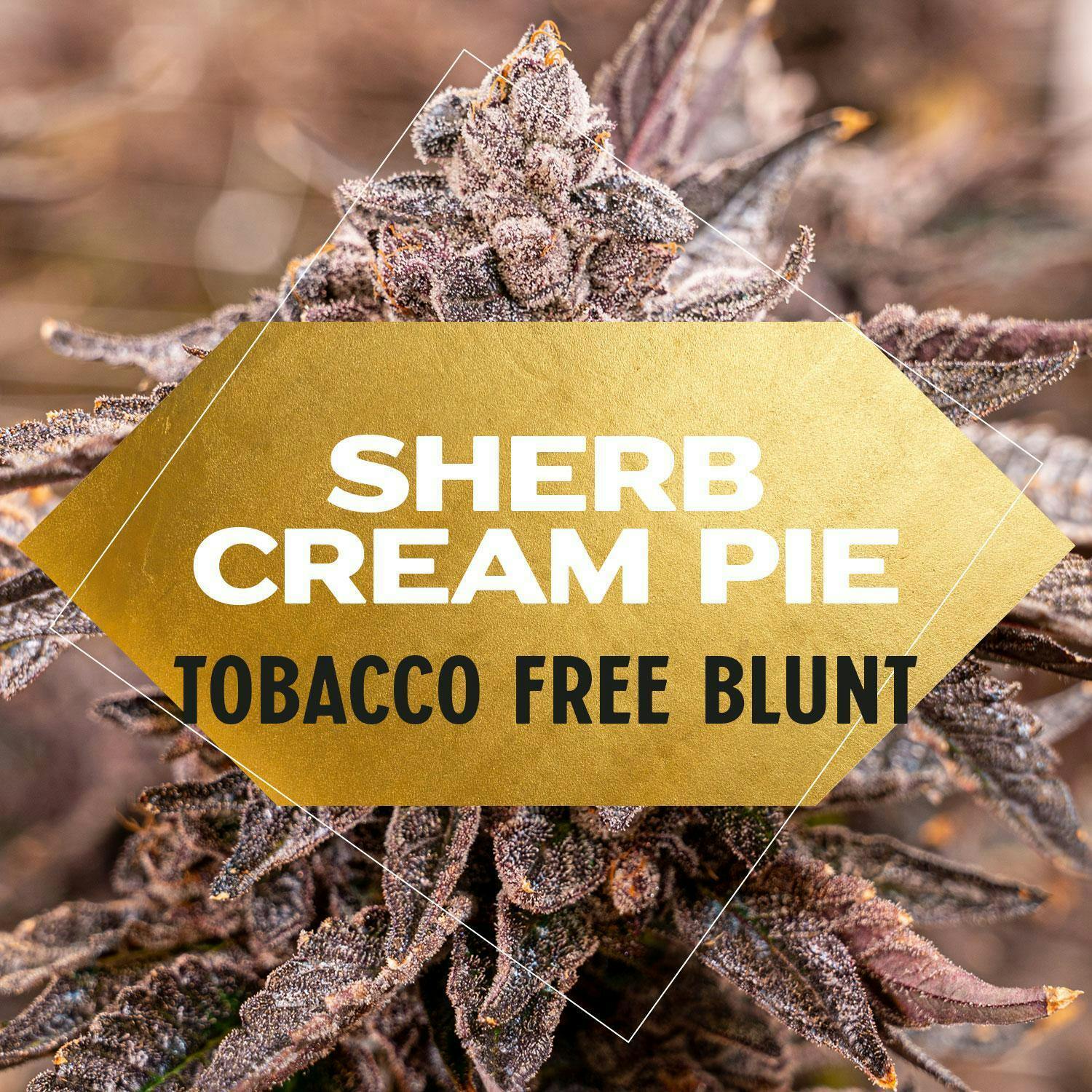 Yani - Sherb Cream Pie Blunt - 1