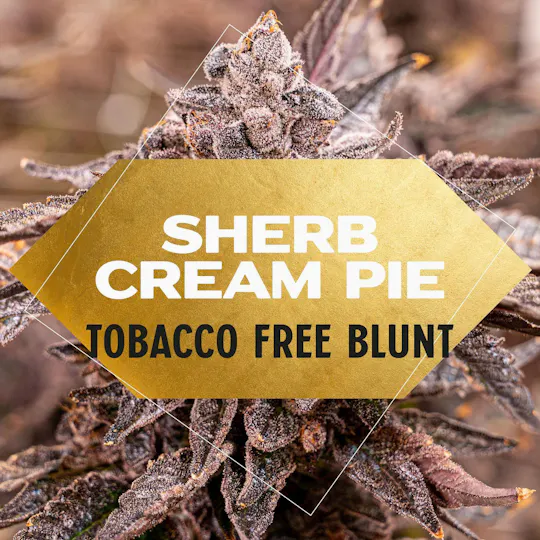 Yani - Sherb Cream Pie Blunt - 1